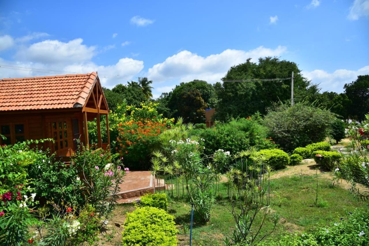 Leo Wodden Resort Hampi Buitenkant foto